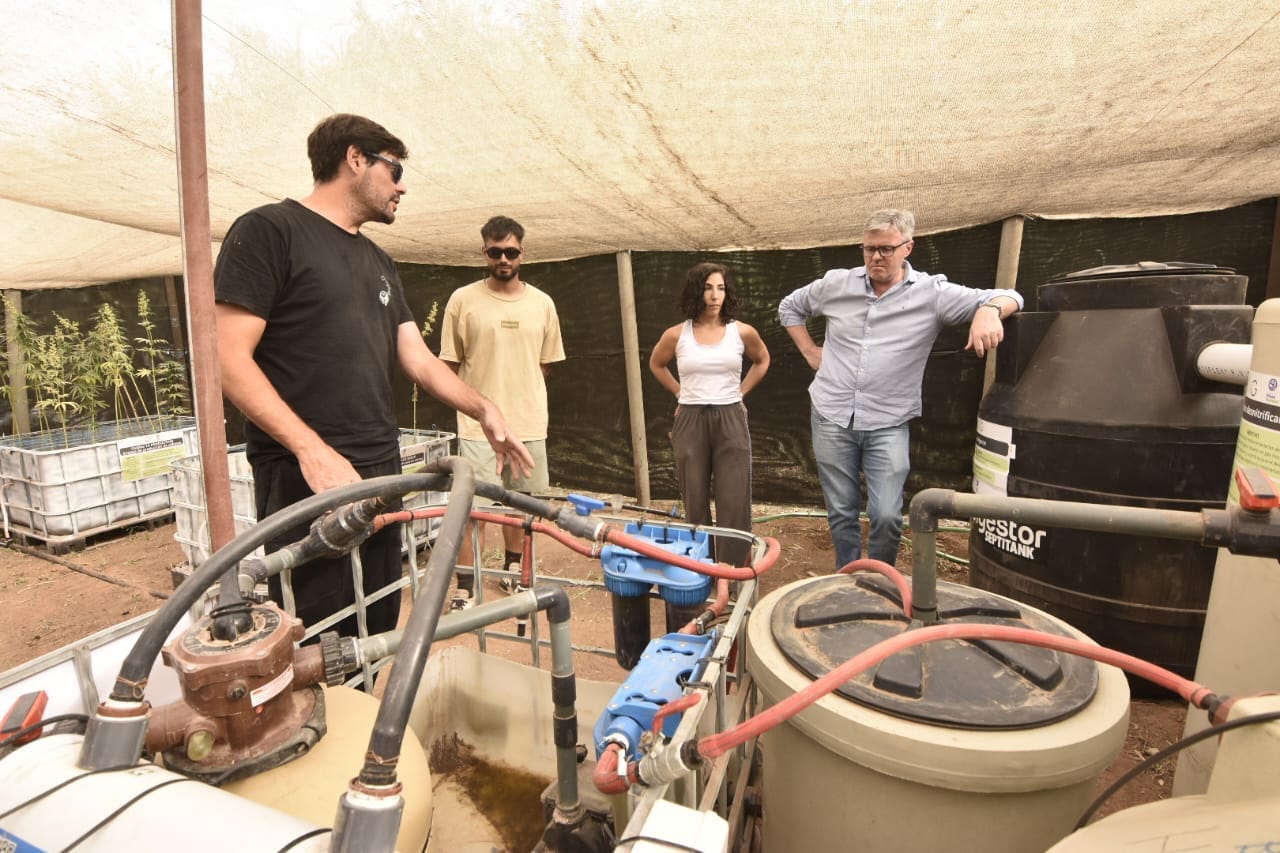 Recorrida junto al sistema de riego del cultivo