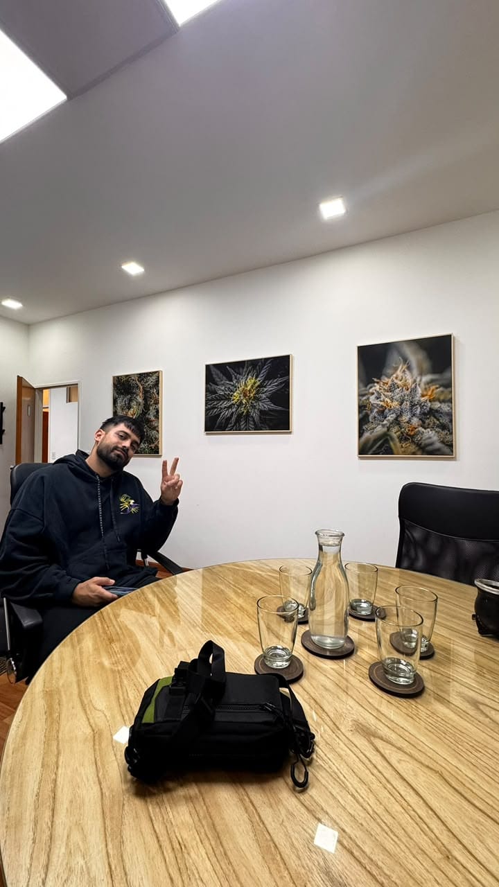 Sala de reuniones con fotos de cannabis en la pared