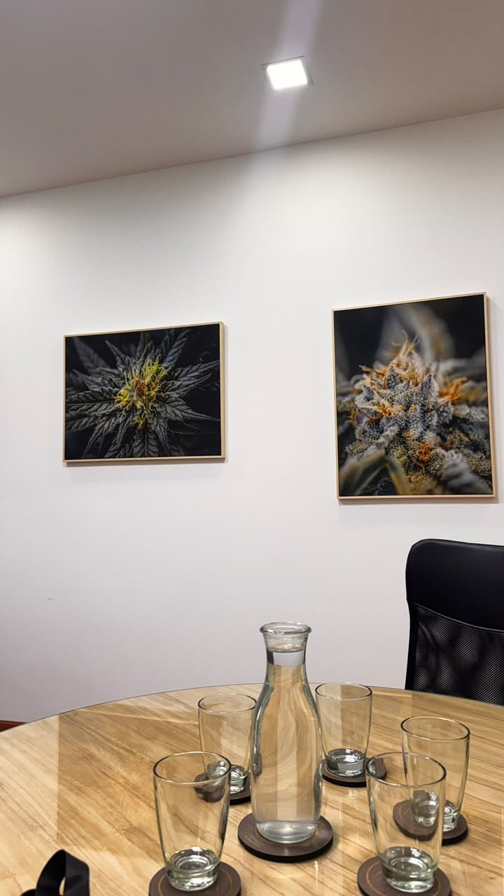 Mesa redonda y obras fotográficas de flores de cannabis